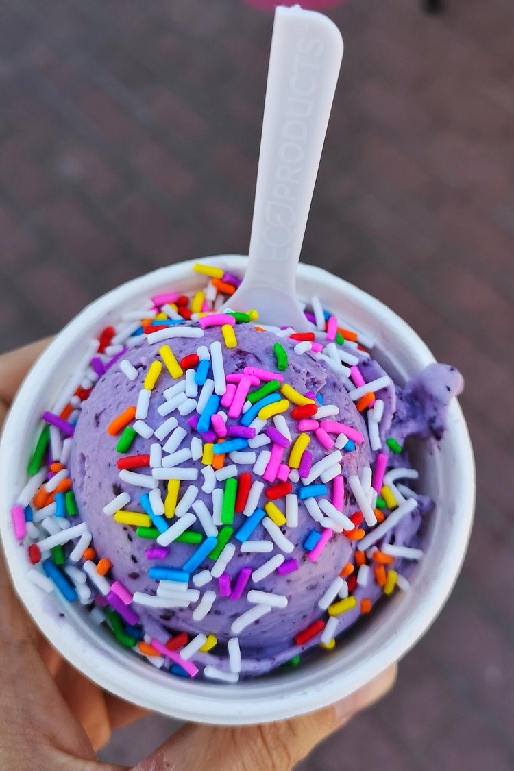 Homemade Vanilla and Blueberry Ice Cream with Sprinkles