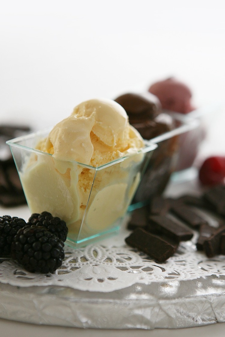 Homemade Vanilla and Chocolate Ice Cream